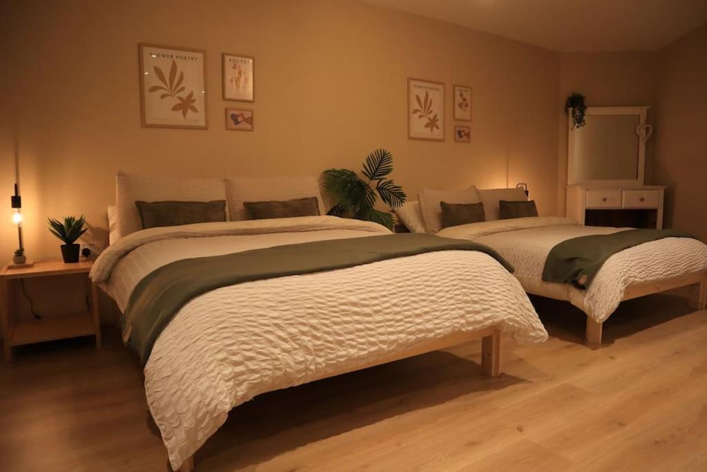 Modern Studio Apartment In Cashel Cashel  Esterno foto
